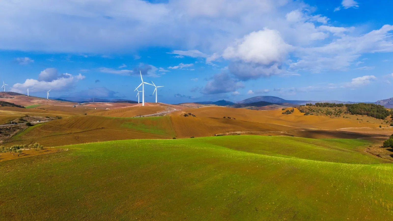 Guida 2026 ai Nuovi Bandi Europei per la Transizione Ecologica